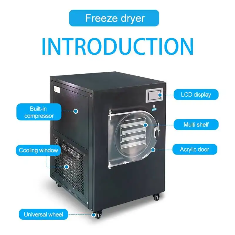 -80°C 6kg/batch Manifold Laboratory Vacuum Freeze Dryer Household Small Freeze Dryer For Food, Fruits, And Vegetables