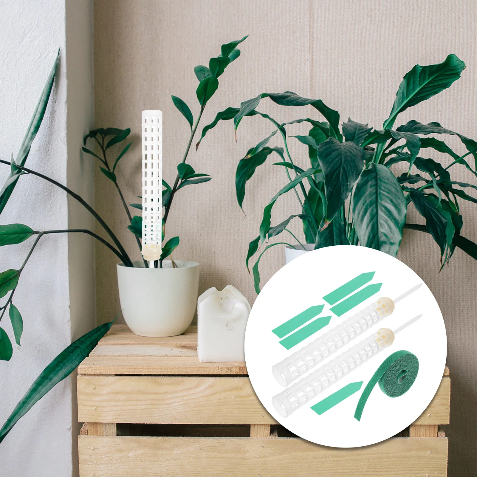 

1Set Plant Climbing Pole Moss Poles for Indoor Plants Support Monstera Vine Trellis Plant Climbing Column Plastic Moss Pole