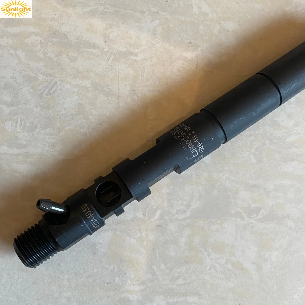 Brandnew Fuel Injector For Delph-i EJBR02901D 338004X800, R02901D Hyunda-i Terracan Kia EU3 33800 4X800