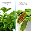 Smart Indoor Hydroponic System Premium Aluminum Frame White Mess-Free Soilless Grow Kit