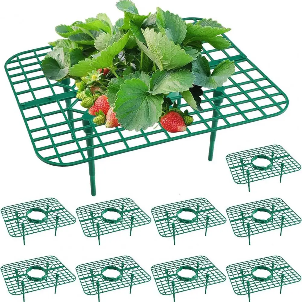 

Strawberry Plant Shelf Strawberry Plant Support Frame Breathable Hollow Design for Easy Installation Fruit Growing Rack Bracket