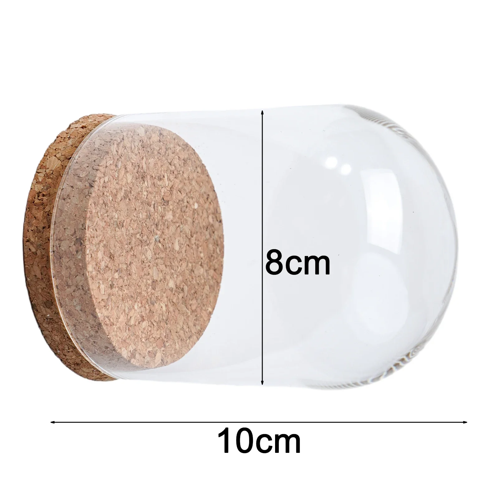 Glass Dome Cover For Mini Terrariums Succulent Plants And Botanical Displays With Solid Wood Cork Base For Living Room