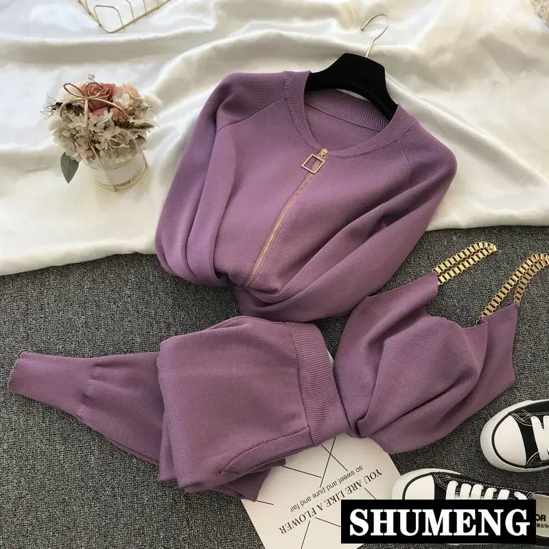 

2020 Autumn New Women's Knit Set Casual Zip Cardigan Sweater Knitted Vest Pants 3 Piece Set Female Purple Sweater Set Tracksuits