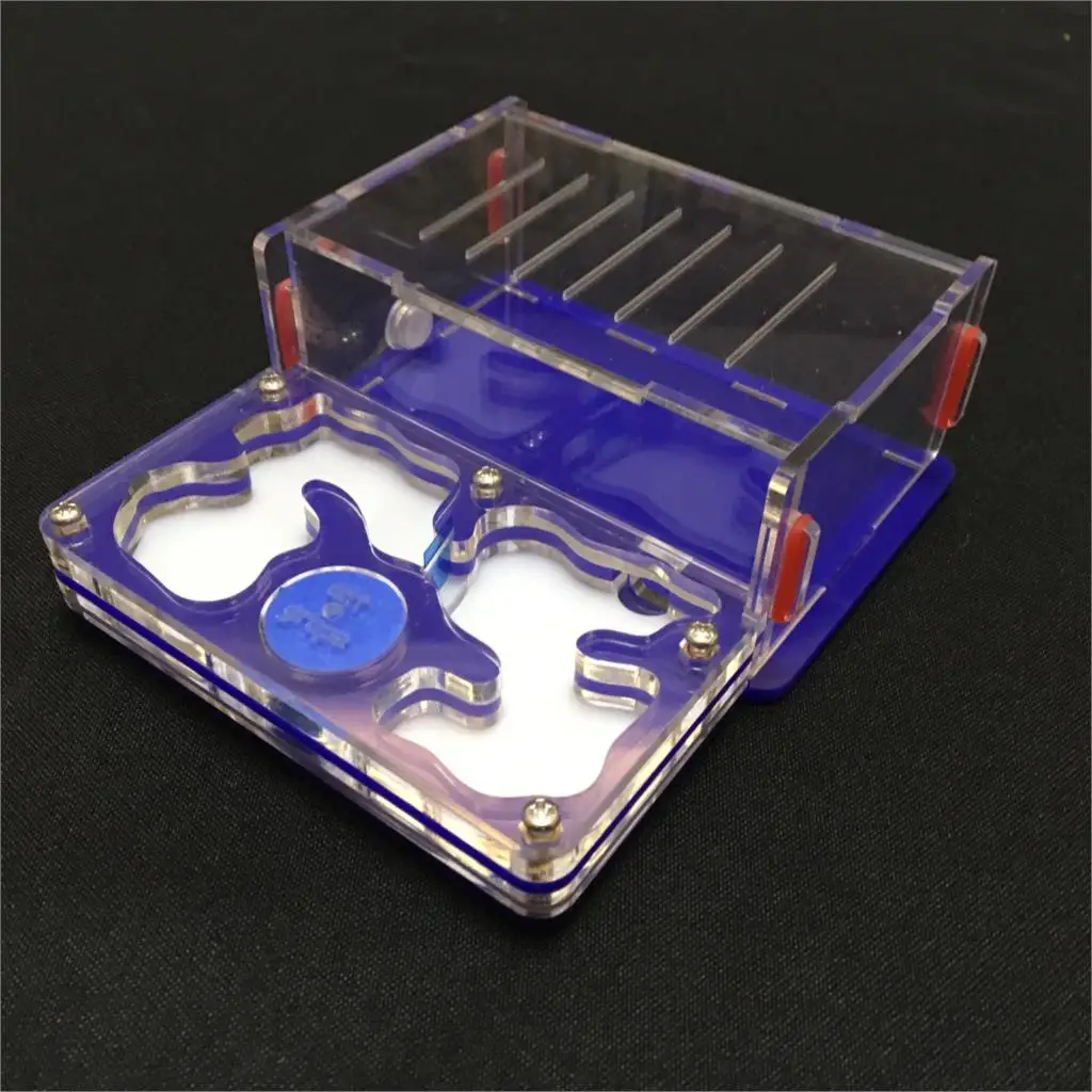 Ant-Grape Series M … - image