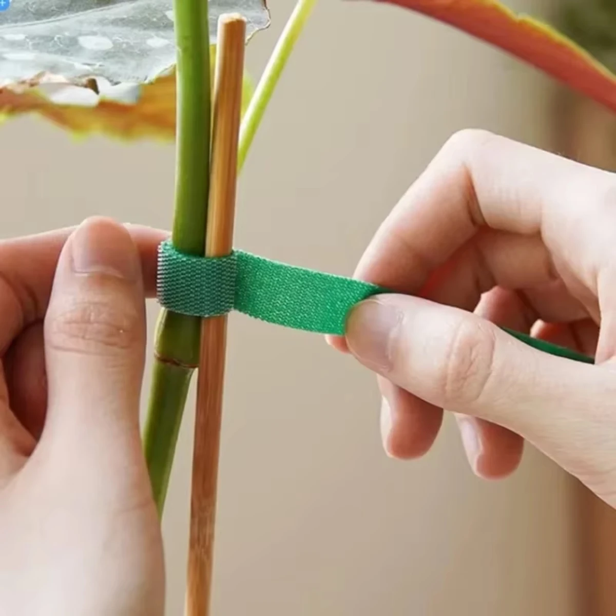 2M Nylon Plant Ties Plant Bandage Hook Tie Loop Adjustable Plant Support Reusable Fastener Tape for Home Garden Accessories