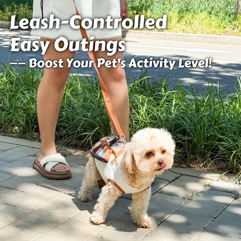 Thumbnail 2 - #33 Trending Dog Harnesses Right Now