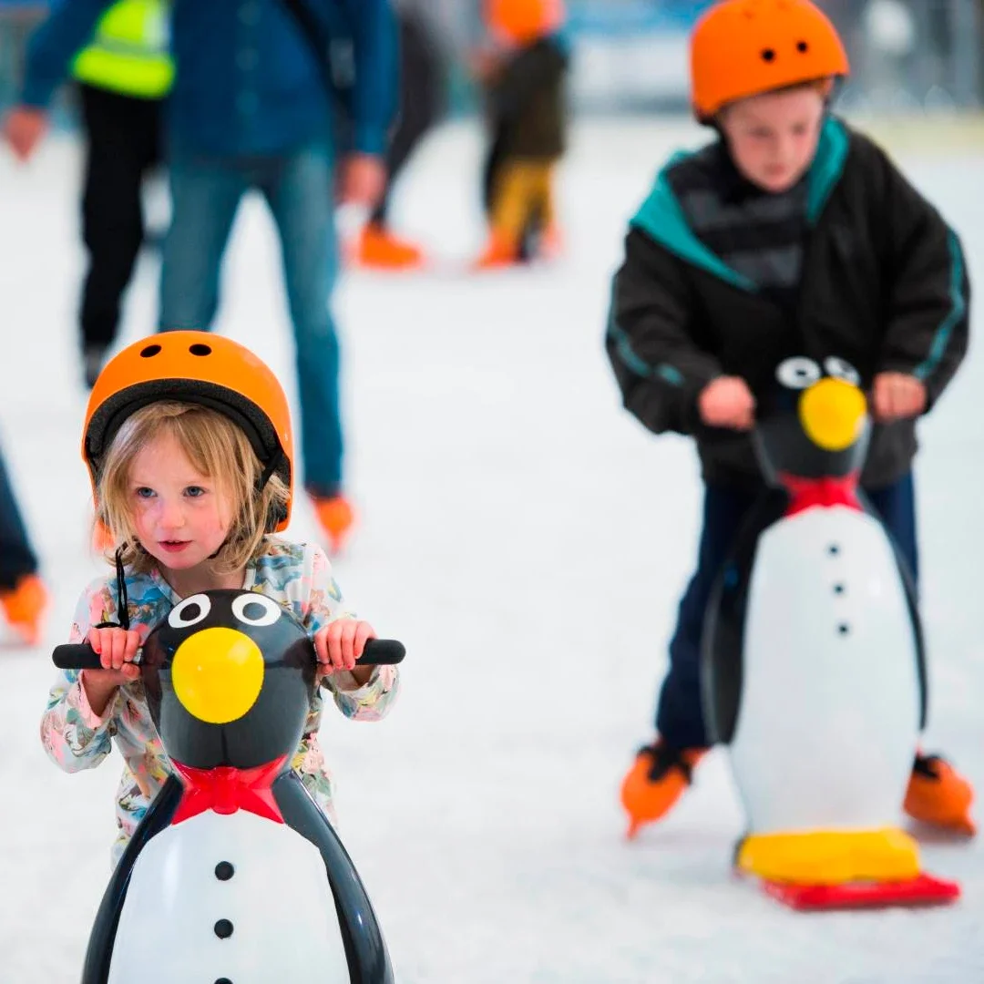 Vendita calda produttore originale pista di pattinaggio attrezzatura ice assistant skate helper pattinaggio aiuto pinguino