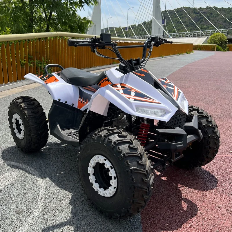 

CE Certified Children's Mini Quad ATV 125cc 4-Stroke Electric Start Automatic Chain Drive 2WD Quad Bike