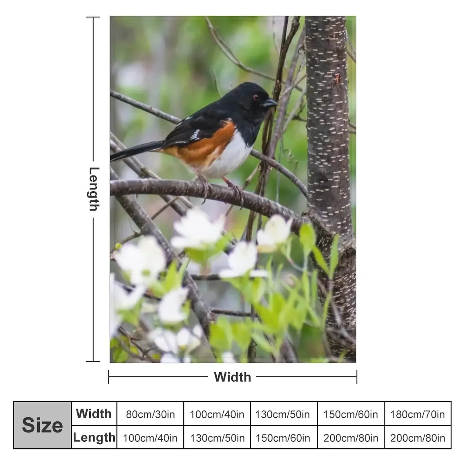 Eastern Towhee and Dogwood Blooms Throw Blanket christmas decoration Decoratives sofa bed Blankets