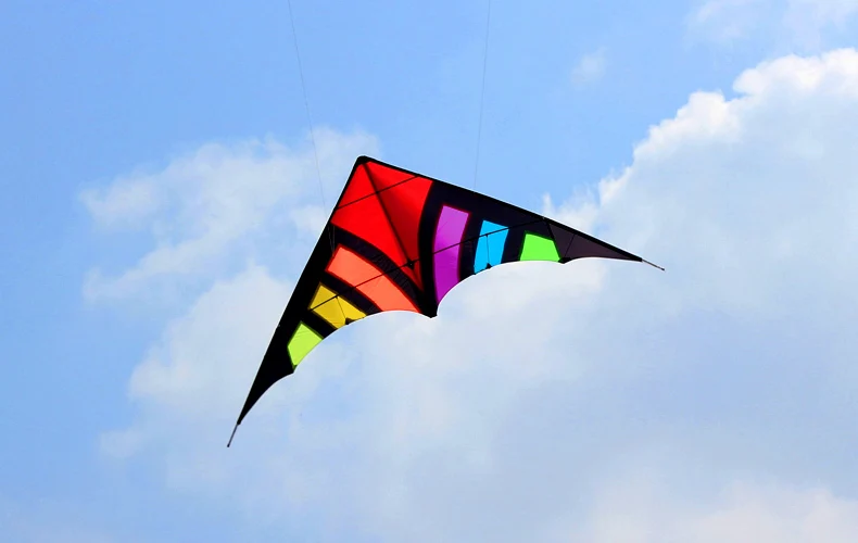 NEW Arrive 48 Inch Professional Dual Line Stunt Kite With Handle And Line Good Flying Factory Outlet