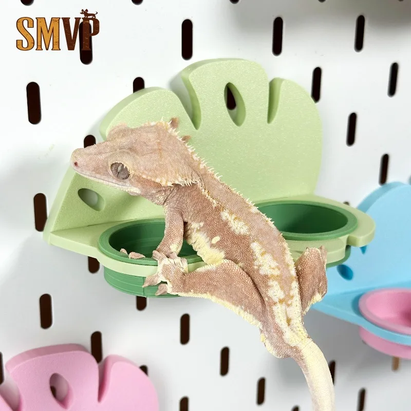 Turtle Back Leaf Magnetic Wall Mount Reptile Double Food Water Bowl Feeding Station for Crested Gecko Lizard Terrarium Supplies