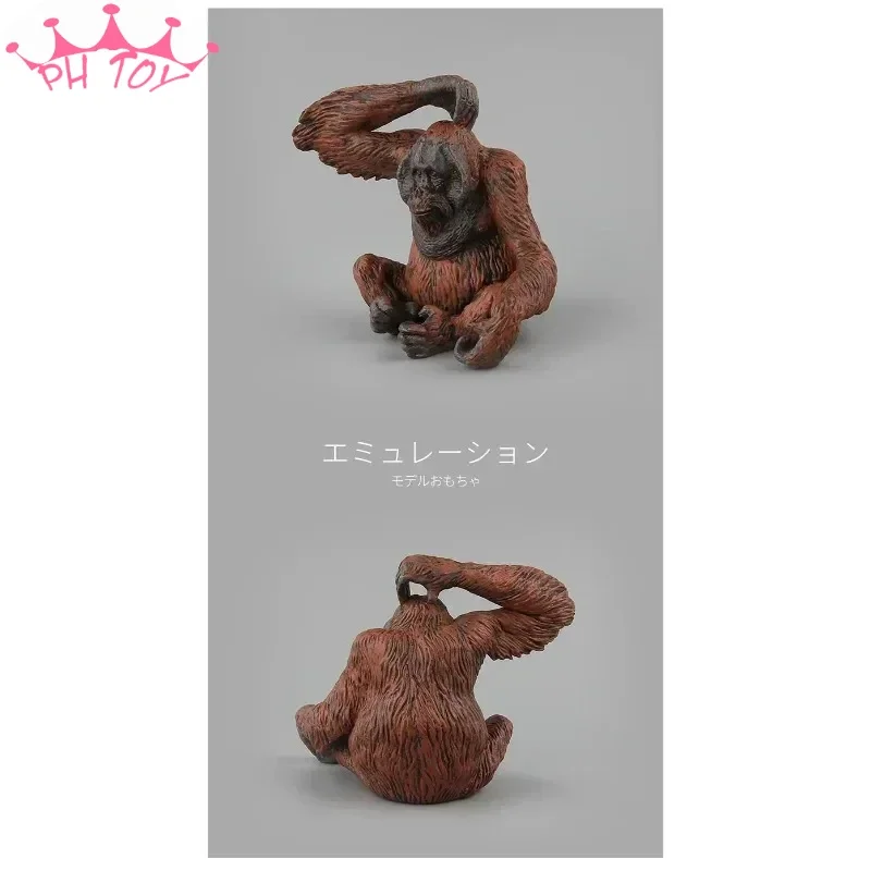 1/6 Scale Simulation Red Gorilla Monkey Sitting Scratching Head Resin Animal Model for Action Figure Ornament Collection Display