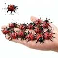12pcs Ladybug