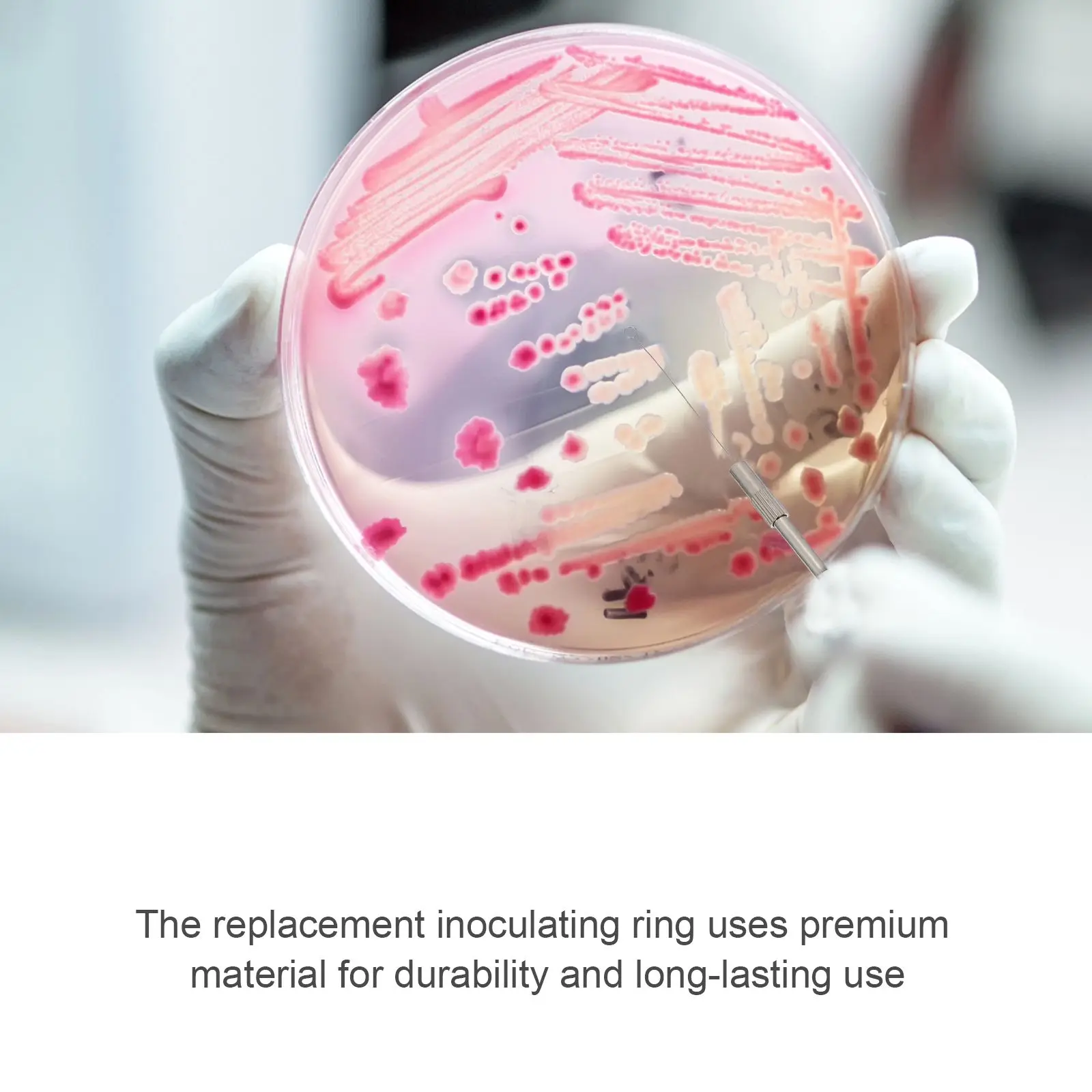 Copper Inoculating Rod Microbiology Tool Replacement Parts Laboratory Accessories Teaching Equipment Classroom