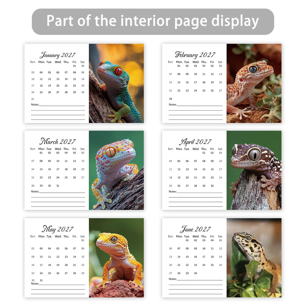 1 قطعة تقويم موضوع السحلية 2026-2027، مخطط شهري لمدة 24 شهرًا، تقويم سطح المكتب، هدية مثالية لأعياد الميلاد، عيد الميلاد، السنة الجديدة #6