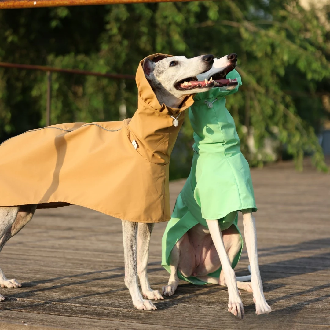 Einfarbiger Regenmantel für Italienische Windhunde und Whippets im Frühling und Sommer, Leichte, Taillenverstellbare, Winddichte Jacke für Hunde – Detail 3