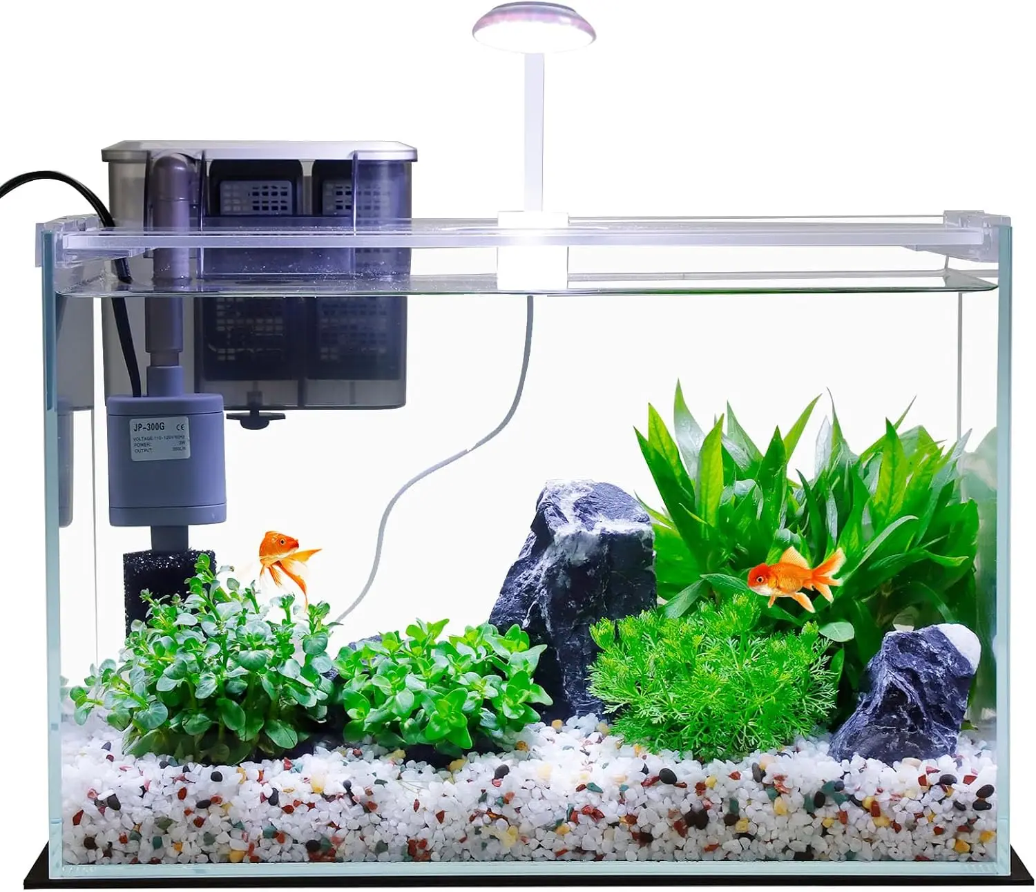 

5 Gallon Glass Fish Tank Kit with Filter, LED Light & Lid for Betta