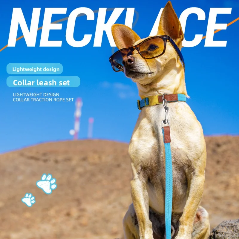 

Escape-Proof Dog Collar & Leash Set - No-Slip Adjustable for Small Medium Dogs, Reflective for Daily Walk (CE)