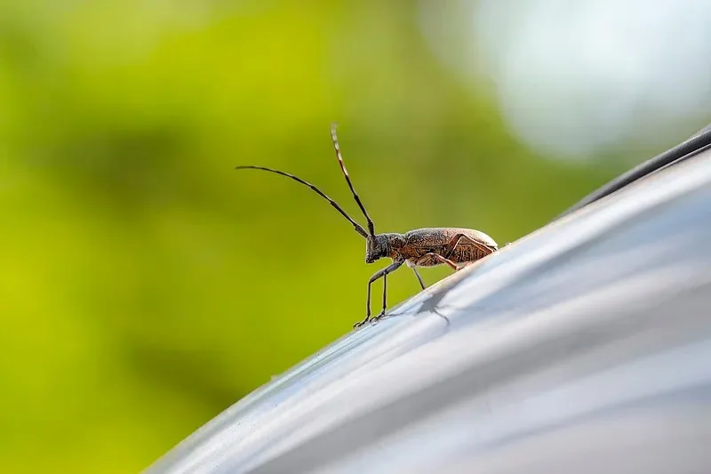 

Аксессуары для радиоуправляемых внедорожных машин MJX Hyper GO H12Y H12Y+H12P для скалолазания