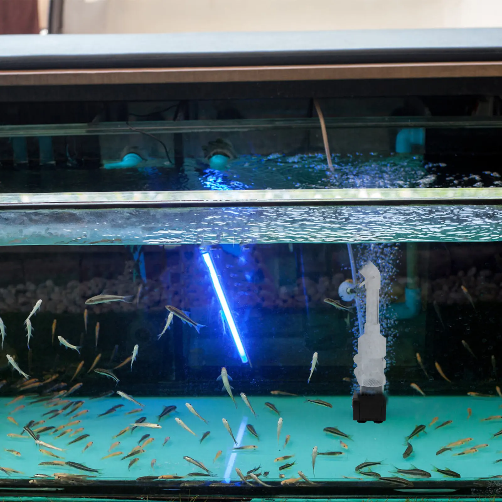 

2 шт. Инкубатор-тумблер для икры пресноводных рыб, аквариумный инкубатор для цихлид, резервуар для выращивания, поддержка развития методом ротового инкубирования