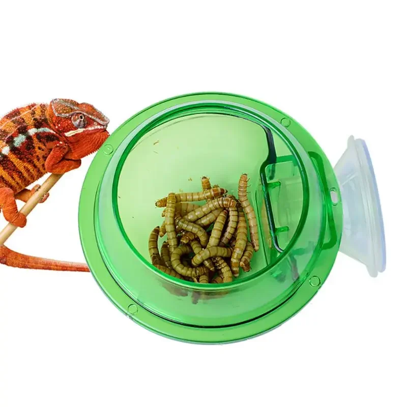 #3 Trending Reptile Water Bowls Right Now
