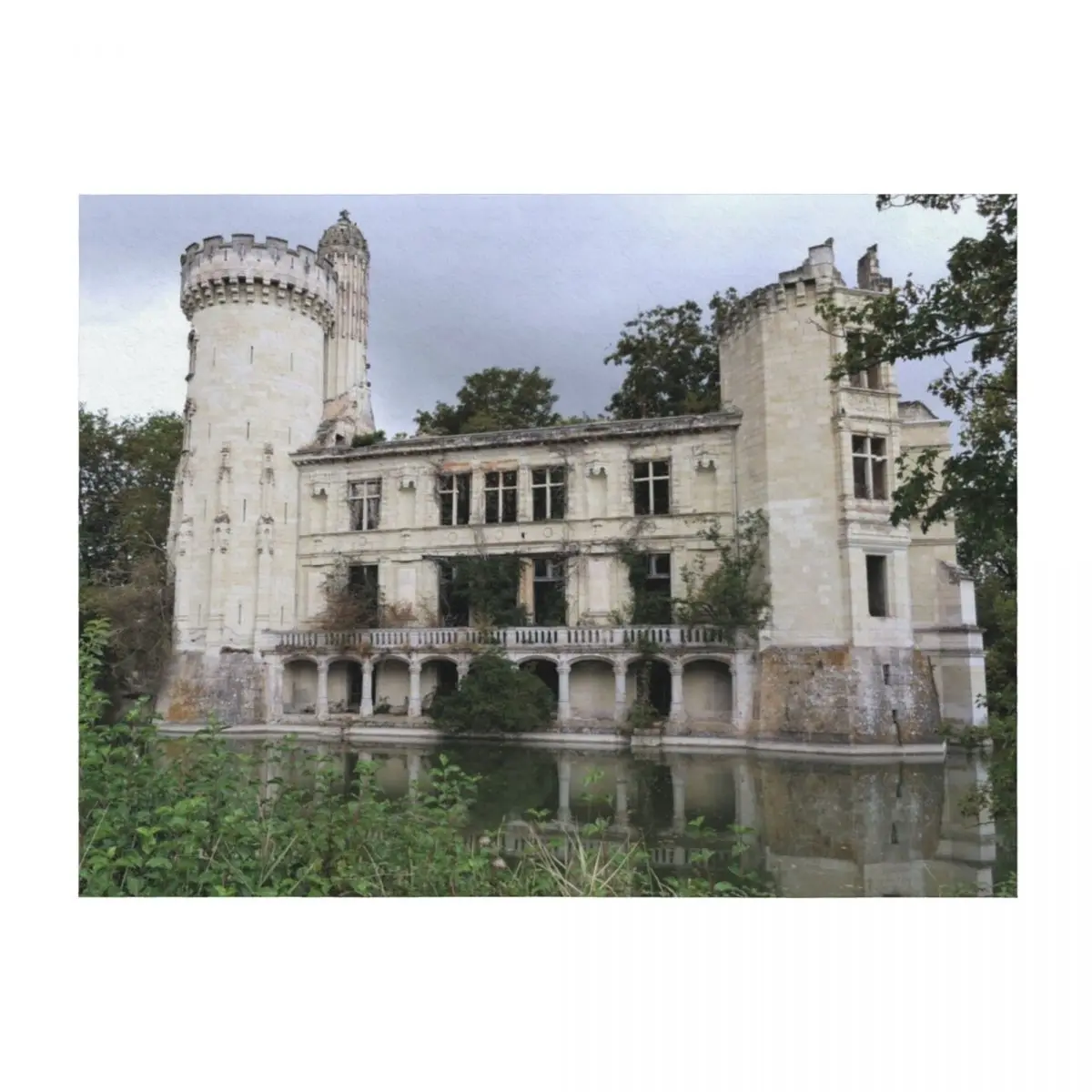 

r2418/ Enfin le Chteau de la Belle au bois dormant Finally the Castle of Sleeping Beauty Throw Blanket Plush Hair Blankets