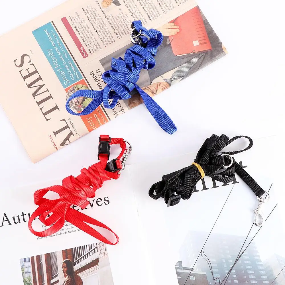 

Traction Training Cat Rope Leash Kitten Rope Puppy Traction Cat Pet Rope Nylon Harness Kitten Collar Rope Adjustable Cat Belt