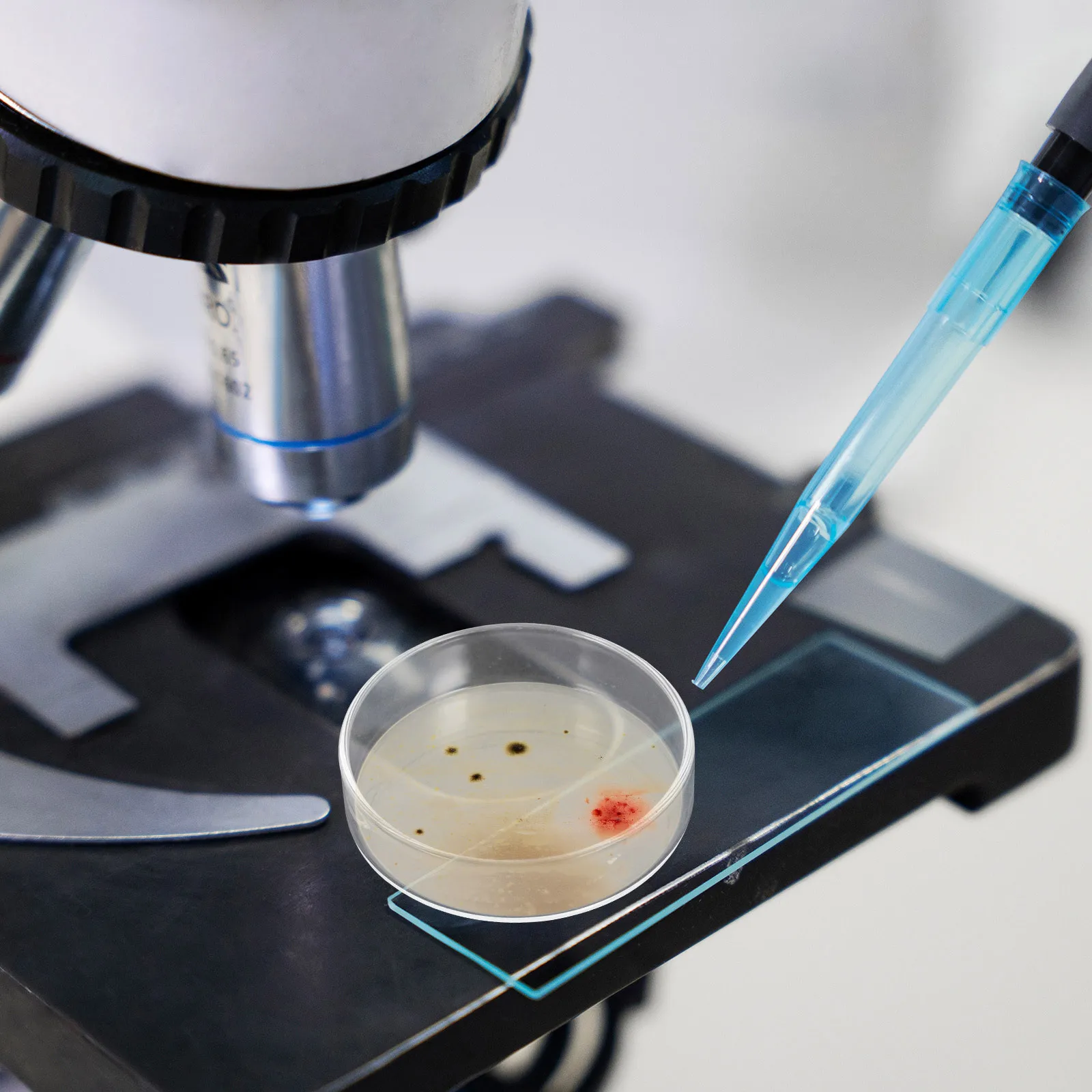 

10Pcs Glass Culture Dishes 90mm Reusable Lab Plates High Optical Clarity Cell Growth Scientific Equipment Glass Petri Dishes