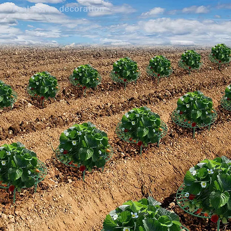 1/5pcs Strawberry Prop System with 4 Stable Legs; Ensures Clean Berries Farming Equipment Strawberry Growth Aid