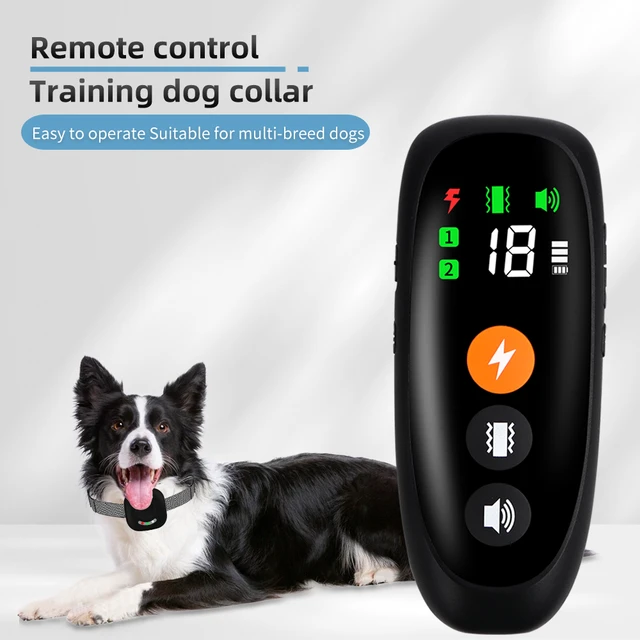 Easy pet training collar best sale