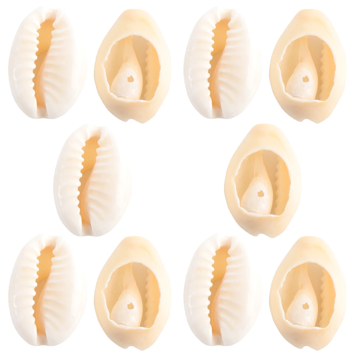 

50 Pcs Conch Pendant Natural Sea Snail Shell DIY Necklace Earring Beaded Hanging Decoration Unique Smooth Safe