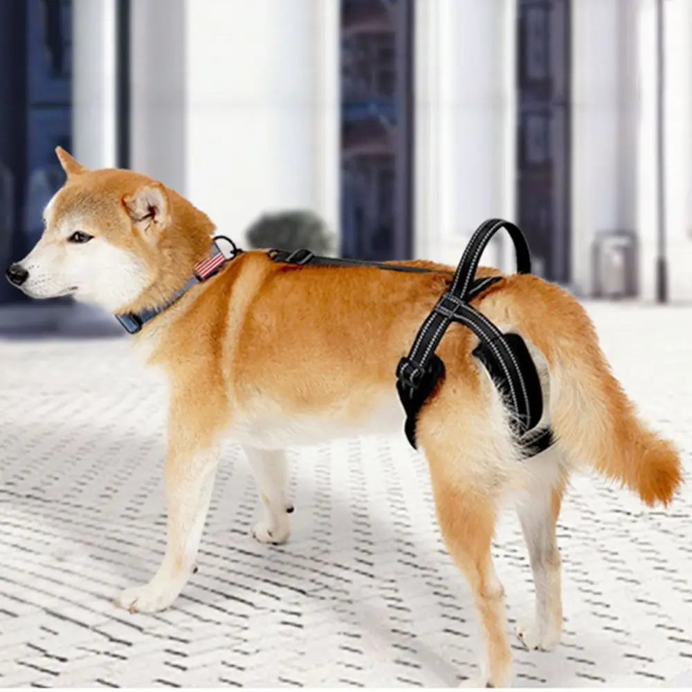 

Adjustable Dog Sling For Back Legs Sturdy Handle Auxiliary Belt Dog Lift Harness Back Leg Hold Reflective Strips
