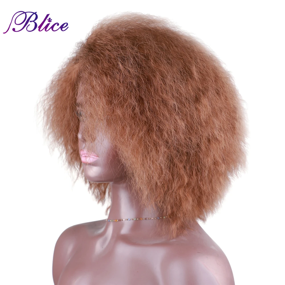 BLICE-Perruque Synthétique Afro Crépue et Bouclée pour Femme, Postiche Court, Fabriqué à la Machine, Style Naturel 03 Cheveux avec Filet Respirant à l'Intérieur