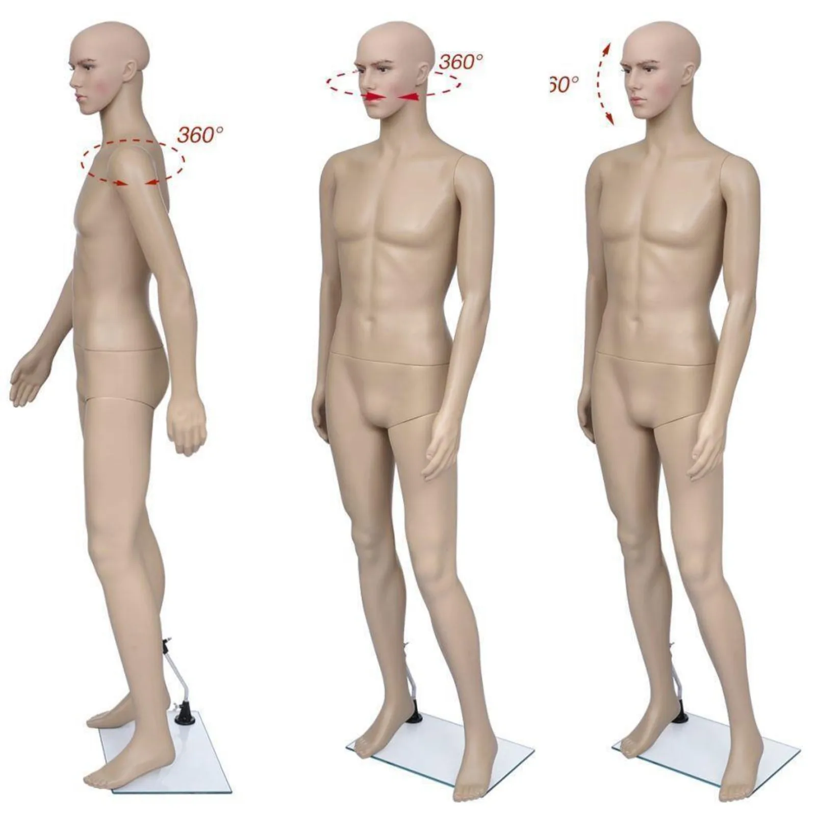 US Male Full Body Realistic Human Model Display with Base, 183cm High Quality