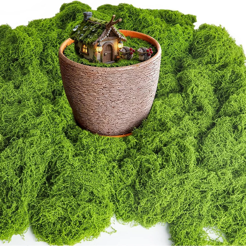 Sphagnum Moss Dry - 永遠の命の苔 DIY 工芸品草人工緑植物ホームルーム庭の装飾ミニ風景フェイクグラス 30/50/100/200 グラム