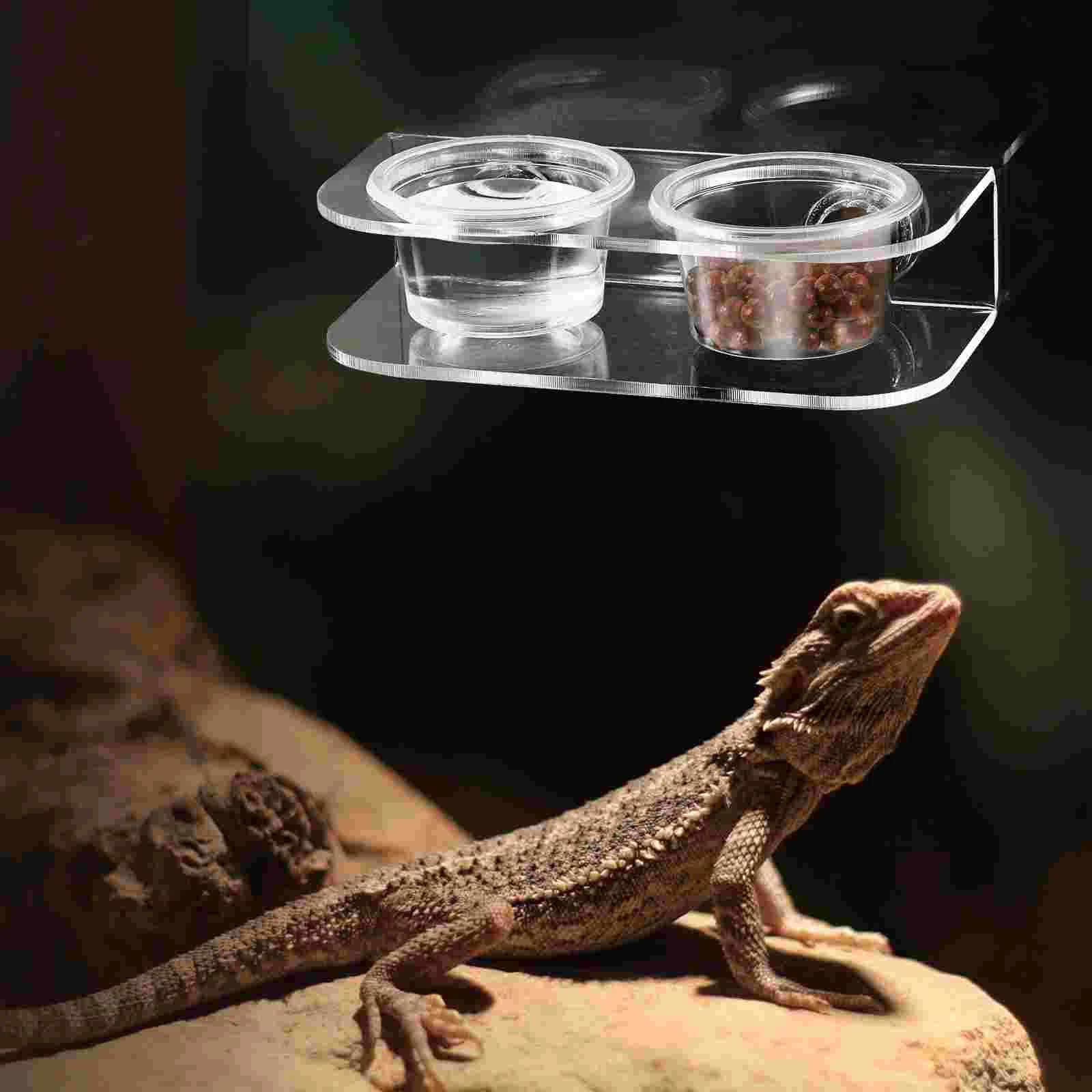 

Gecko Feeder Cups Reptile Feeding Bowl Pet Leopard Print Dish Supply The Animal