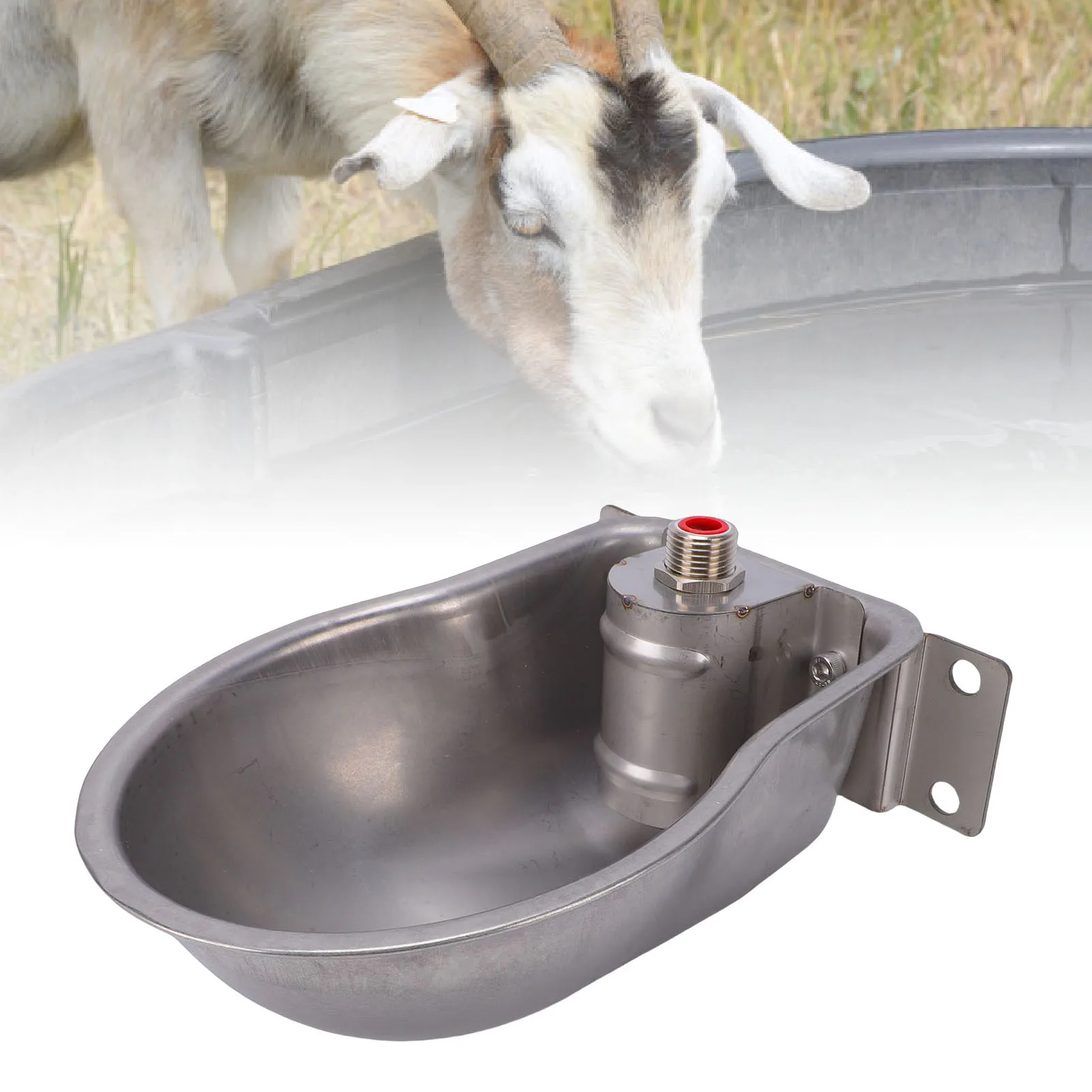 Thumbnail 2 - #16 Best Automatic Livestock Feeders to Buy In 2026