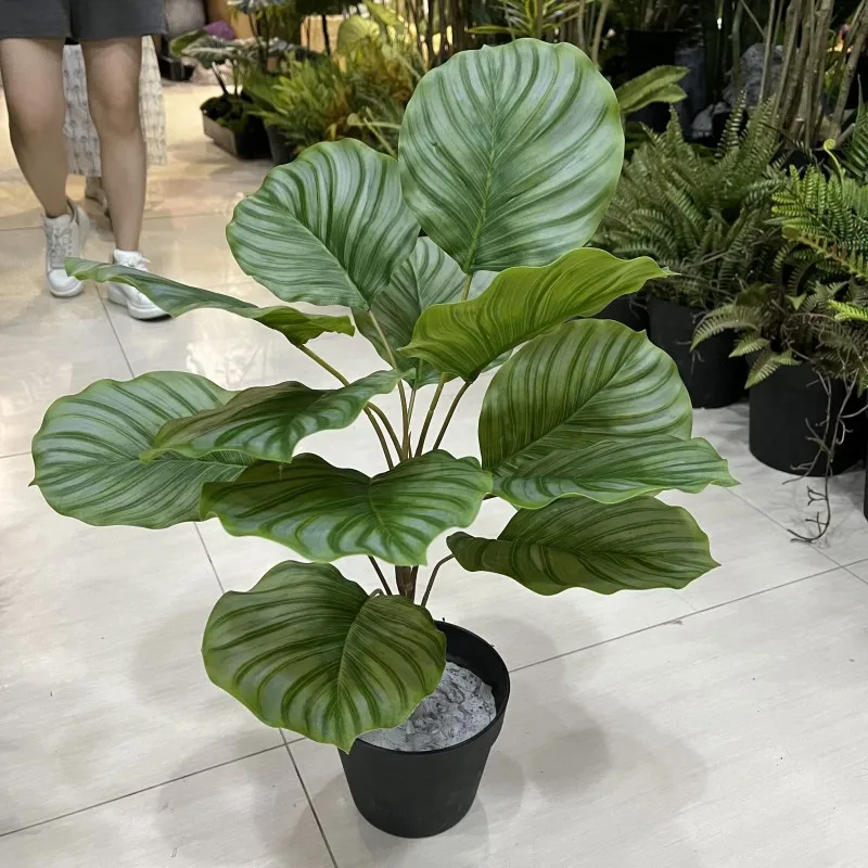 

Искусственные зеленые листья яблока для украшения дома Искусственные цветы Зеленые растения Фоновые материалы Декор комнаты Эстетический