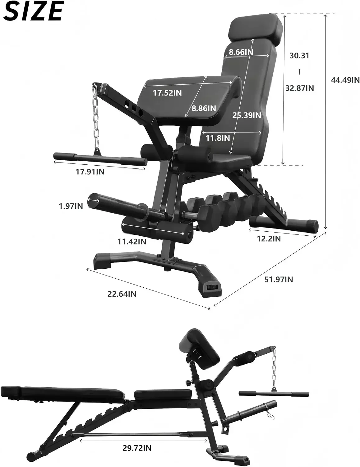 Multi-Function Adjustable Weight Bench with Leg Extension and Curl, Preacher Curl Attachment, Incline Decline Bench Press
