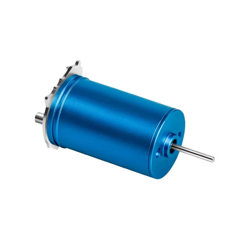 

Customizable 12V 30000rpm High Speed Small Bldc Motor