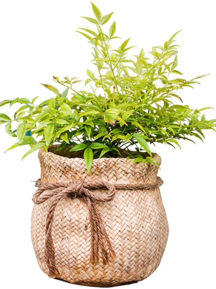 Cement Pocket Flower Device Decorative Flower Pot Ornament Art Outdoor Villa Courtyard Garden Flower Pots Accessories