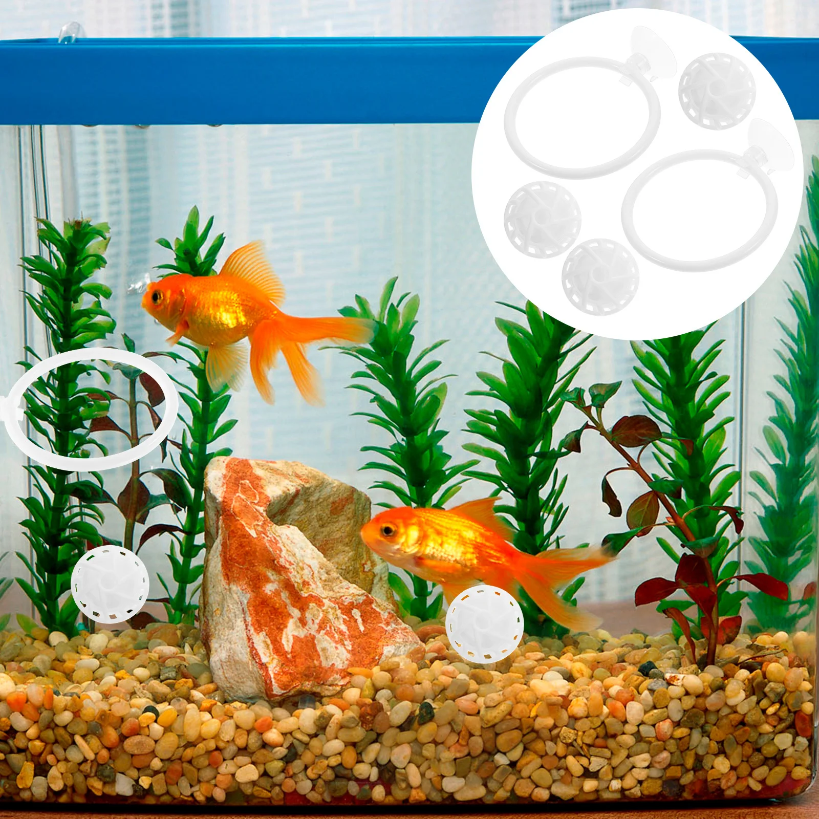 

1Set Betta Fish Training Ring Suction Cup for Exercise Hiding Space with Filter Balls Aquarium Purification Betta Fish Activity