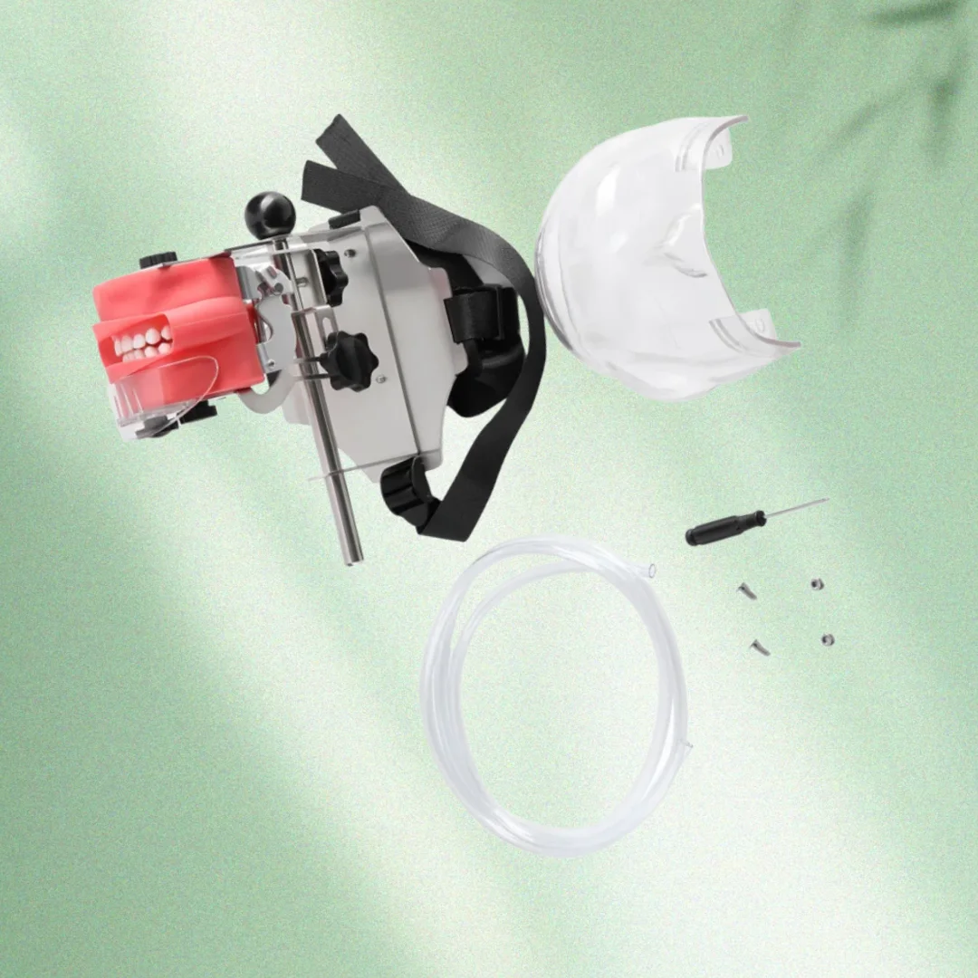 

Голова манекена для обучения зубами, модель Typodont 28, съемные зубы для практики и обучения