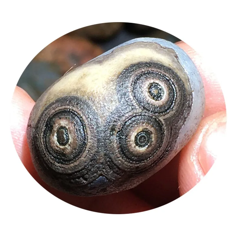 Natural Silver Root  Jewelry  Green Eyes Stones Fine Dzi Type Alashan Gobi Agate Surface Relief Eye Stone Gemstones Collection