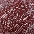 Topographic 4