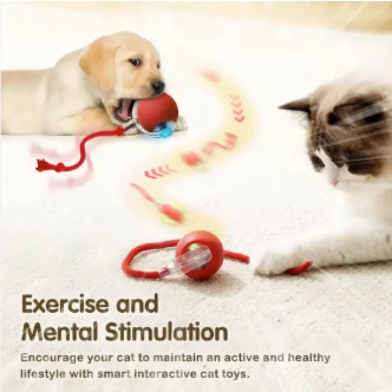 #56 Cheap Cat Toys Worth Buying