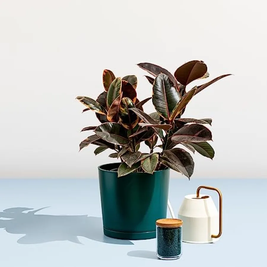 Plastic Pots for Plants - 100 Recycled Maritime Plastic, Navy Blue - Durable, UV Frost Resistant for Indoor/Outdoor Planters, N