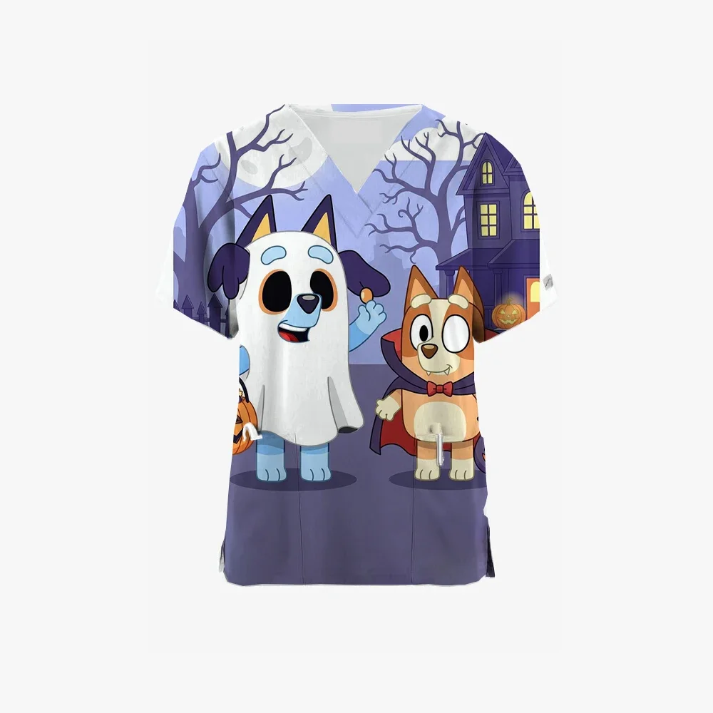 In 2025, a comic music festival in collaboration with Bluey and an informal music festival for Bluey's hip-hop Y2k mascot