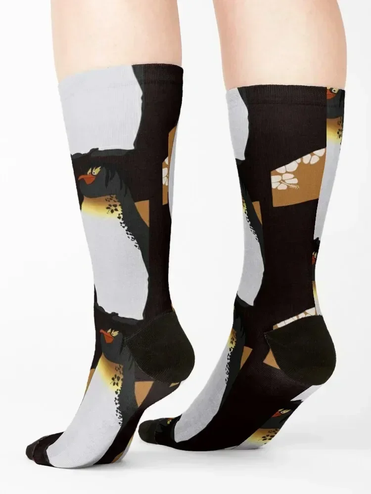 Big Z Socks heated men cotton high quality with print bright garter Girl'S Socks Men's
