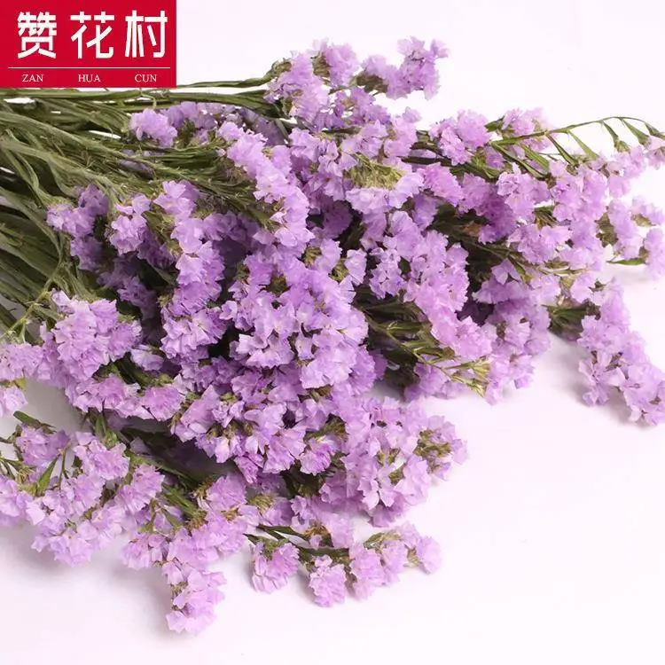 غرفة المعيشة سطح المكتب جاف ننسى لي لا الزهور ديكور المنزل مادة الزهور الحقيقية باقة الزهور الجافة منضدية فن الأزهار